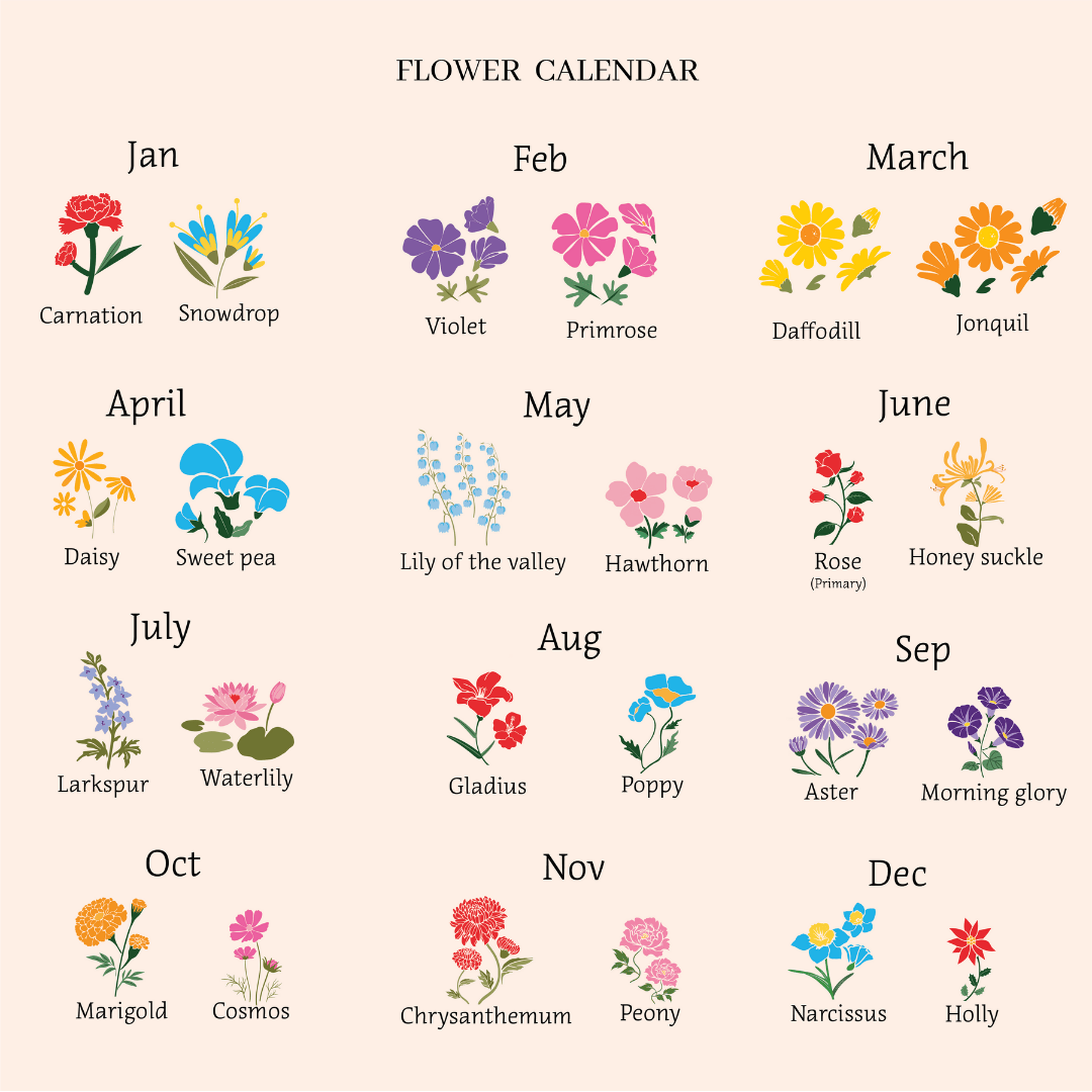 A "Flower Calendar" chart showing two distinct birth flower illustrations for each month of the year, such as Carnation and Snowdrop for January.
