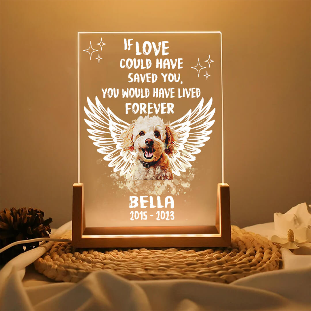 If Love Could Have Saved You Pet Memorial Acrylic Plaque