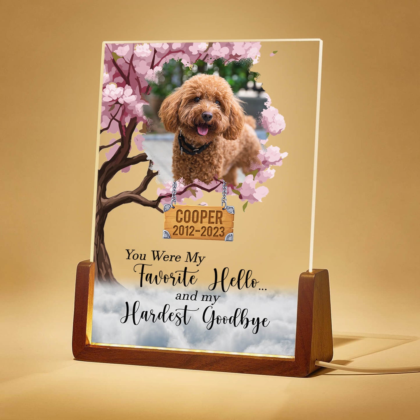 Personalize Hello and Goodbye Pet LED Acrylic Plaque