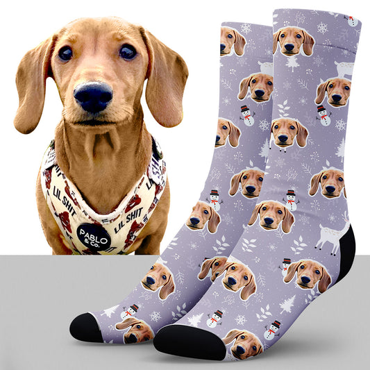 POC Winter Wonderland Pet Face Socken