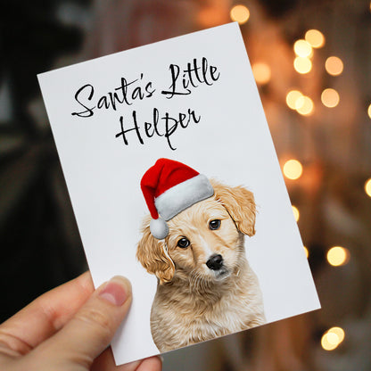 Personalised Pet Christmas Card