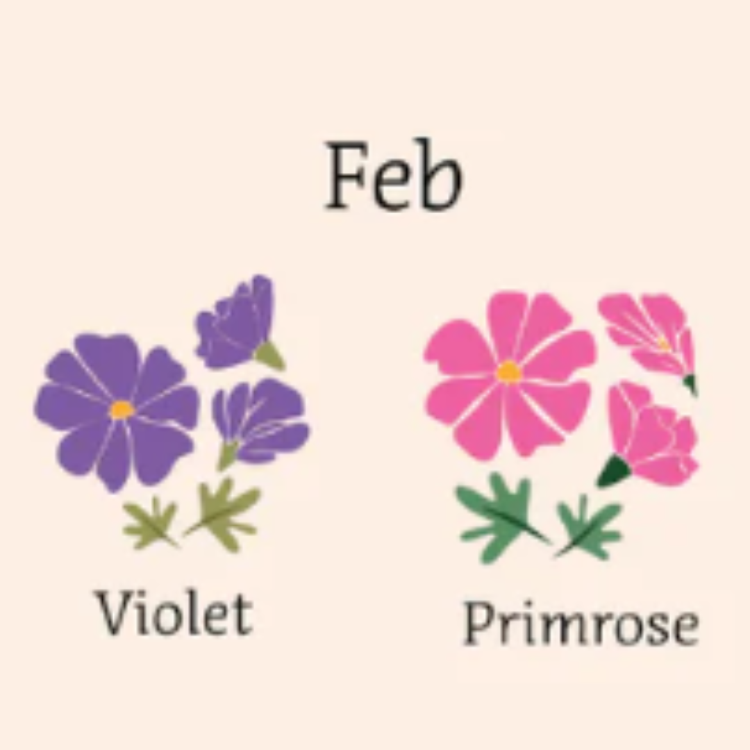 illustrated image of violets and primrose flowers 