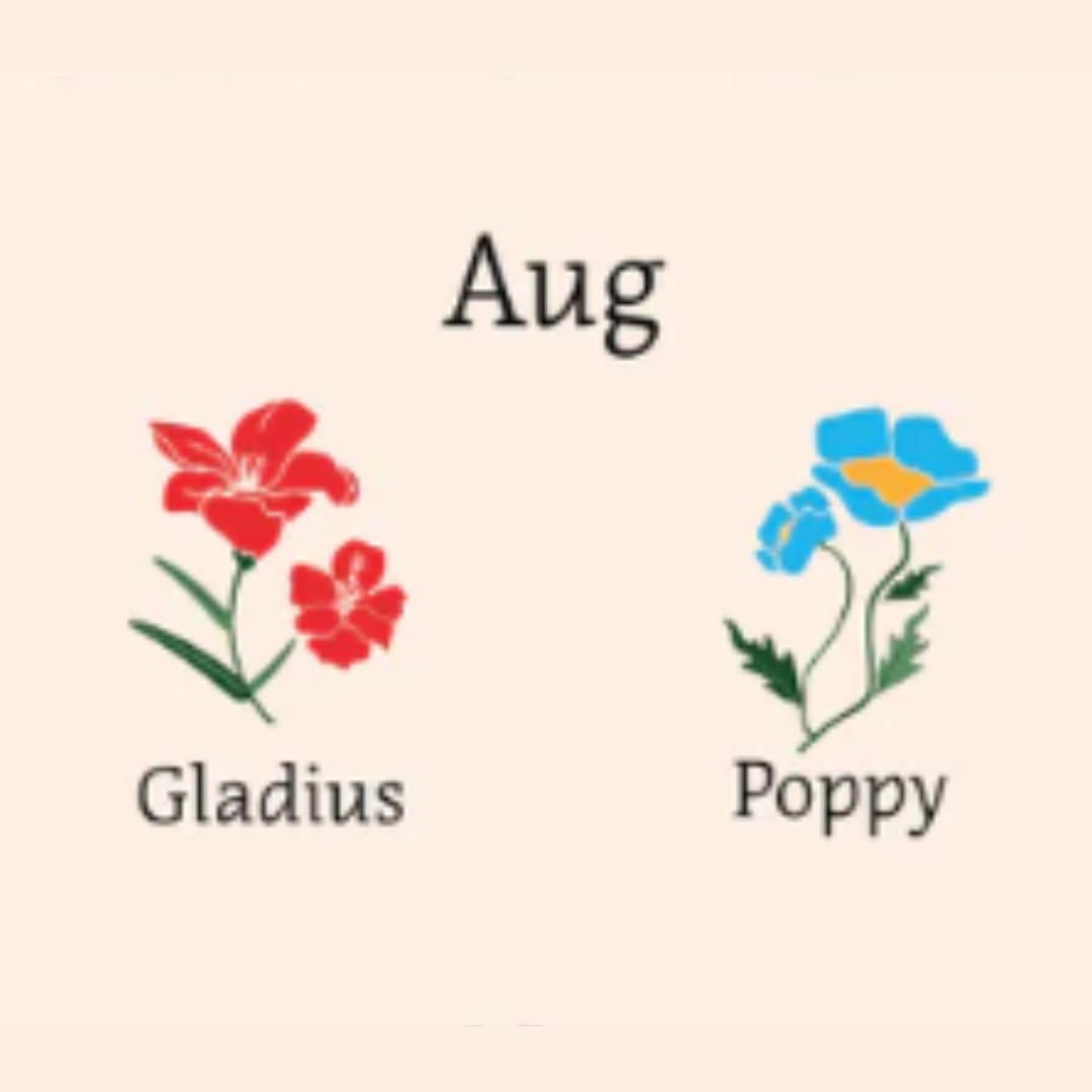 illustration of gladius and poppy flowers 