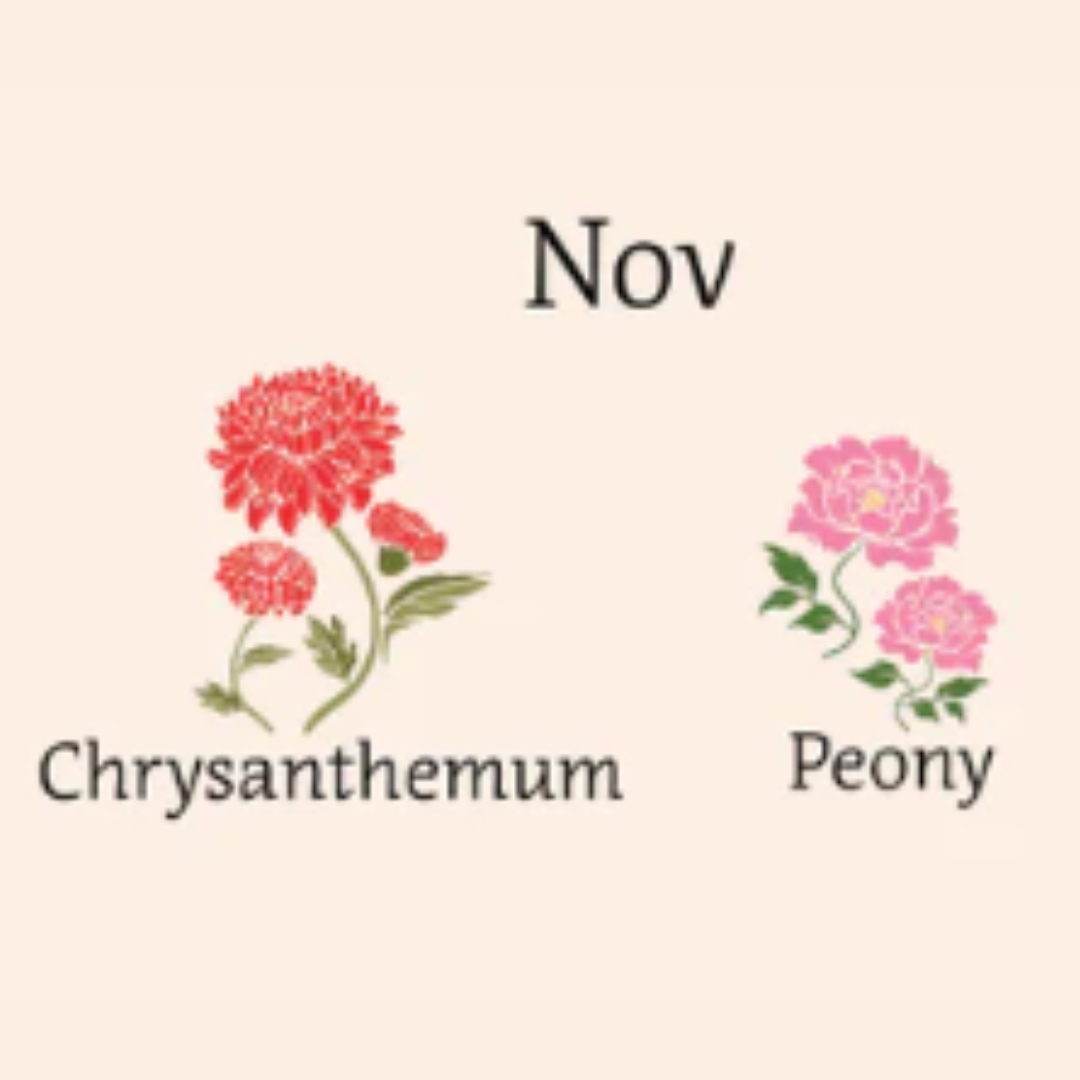 illustrated image of chrysanthemum and peony flowers 