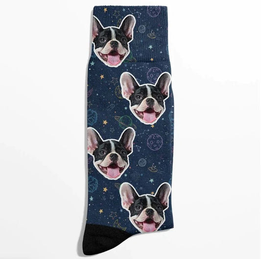 POC Moon Pet Face Socken