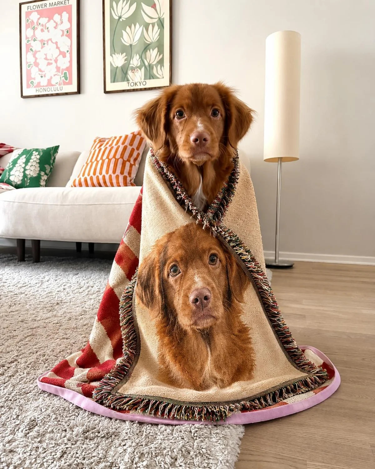 A dog wrapped in a personalized woven blanket showing its own portrait, sitting on a living room rug