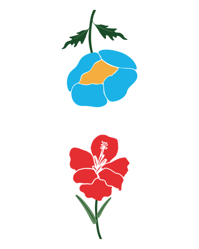 Gladiolus & Poppy