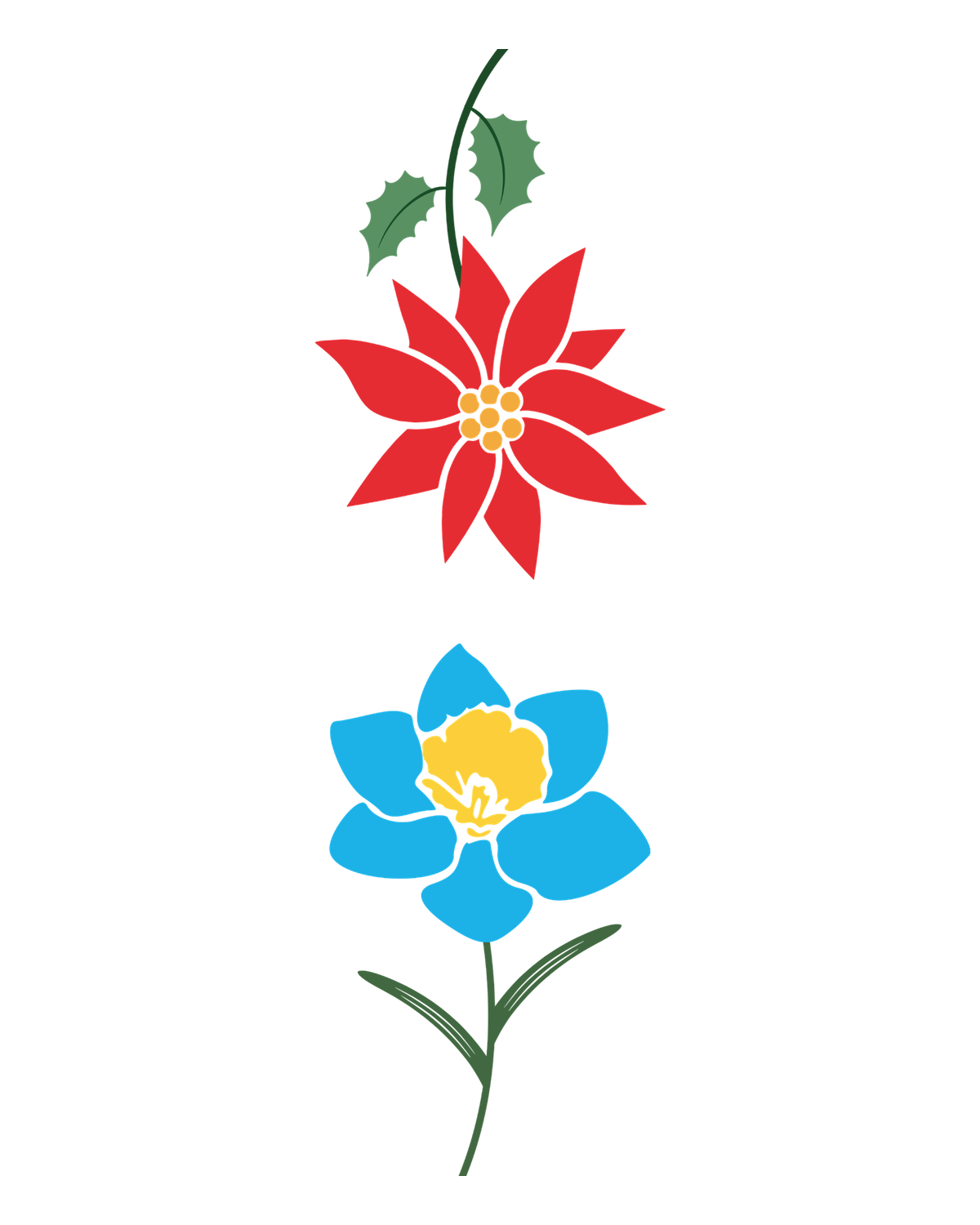 Birth flowers for December