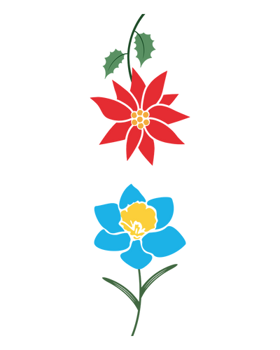 Poinsettia & Narcissus