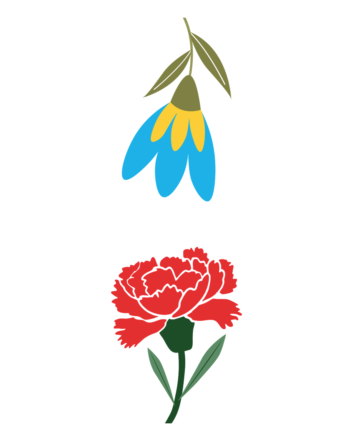 Birth flowers for January
