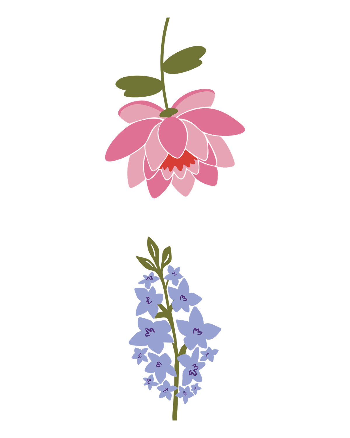 Birth flowers for July