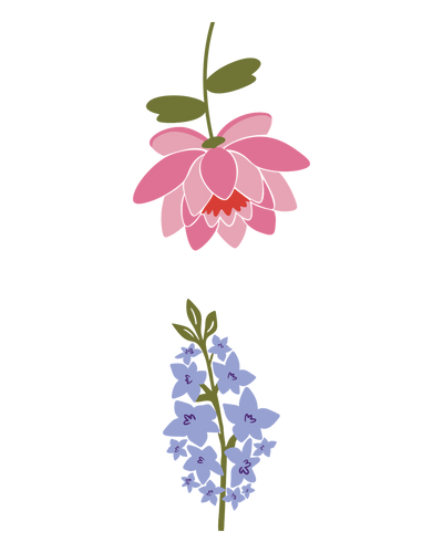 Larkspur & Water Lily
