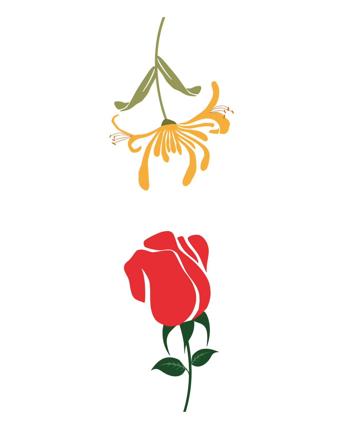 Birth flowers for June