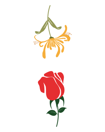 Rose & Honeysuckle