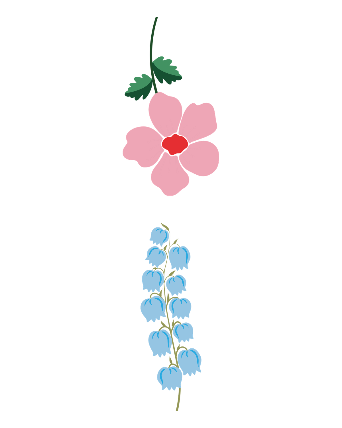 Birth flowers for May
