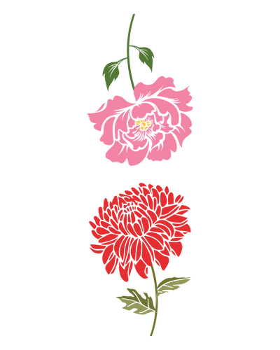 Chrysanthemum & Peony