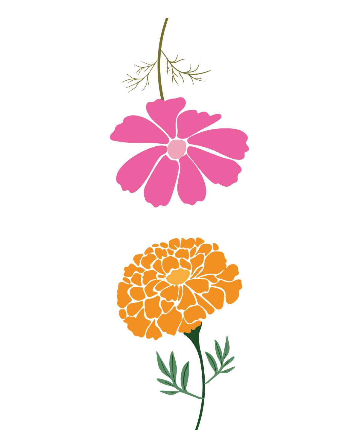 Birth flowers for October