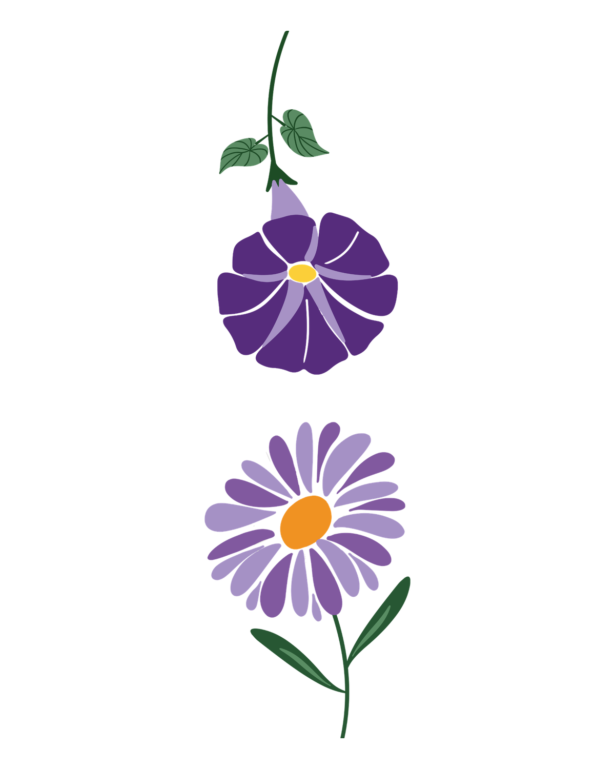Birth flowers for September
